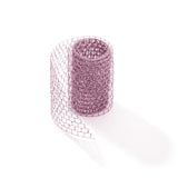 ROSA FOSF