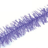 Violeta